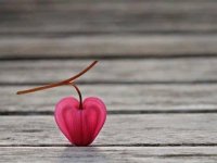 Rosaria Giagu Rosaria Giagu